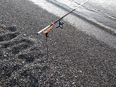 まだまだ小さいようです!!