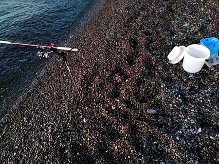 小型ですが、何とか一杯確保でした!!