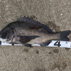 イチノ兄弟、釣果！