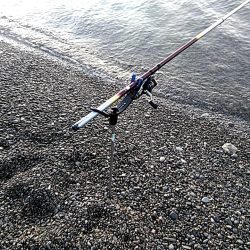 アタリはありますが、小型でした!!