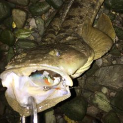 ハイシーズンを逃しての紀ノ川へ