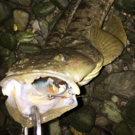 ハイシーズンを逃しての紀ノ川へ