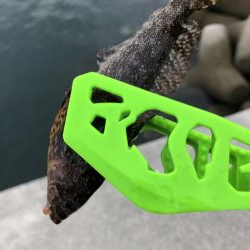 初心者の穴釣り