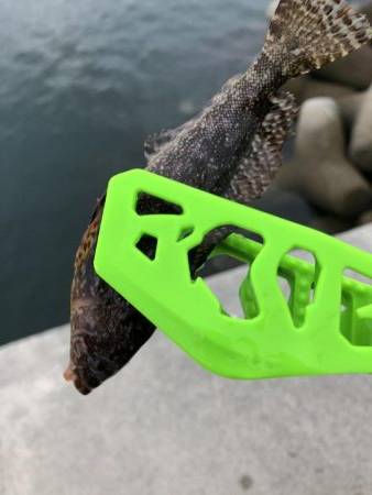 初心者の穴釣り