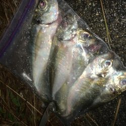 仕事が終わったら私事だぜ