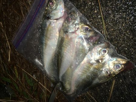 仕事が終わったら私事だぜ