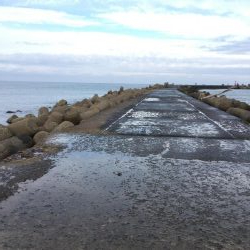 湯梨浜町サゴシ、サバ回遊。