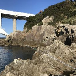 やっと会えたな！タマン！