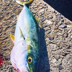 メリクリ&釣り納め(仮)