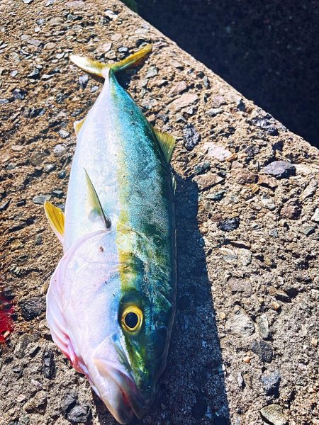 メリクリ&釣り納め(仮)