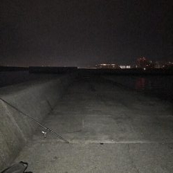 12月20日大サバ狙い