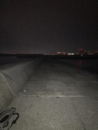 12月20日大サバ狙い