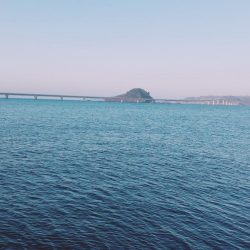 朝まずめの寒ブリ