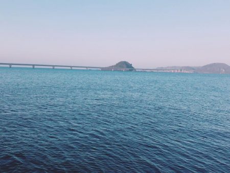 朝まずめの寒ブリ