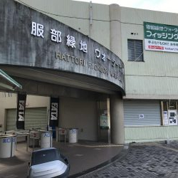 トラウト12月13日