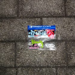 ノー残業デーなのでアジング行って来ました。