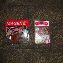 今日長時間粘った割に最近の釣果！^^;