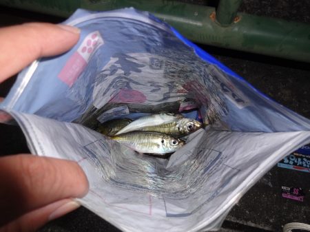 ワームを交換する事で何とか7尾ゲット出来ました。