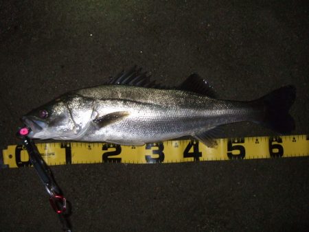 秋のハイシーズンは終了