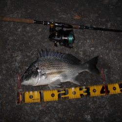 スレるのが早い…。