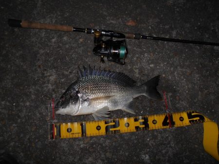 スレるのが早い…。