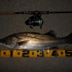 開始早々から連続ヒット♪