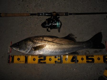 開始早々から連続ヒット♪