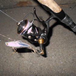 やっぱりソリッドクリアが効く？