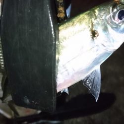 そろそろ終わり？