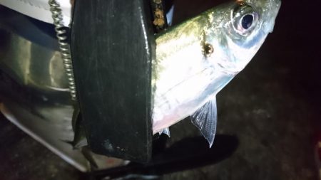 そろそろ終わり？