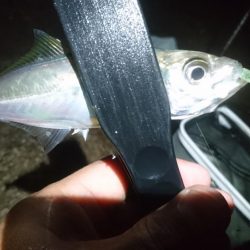 雨の中少しだけ