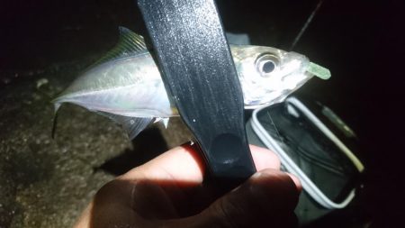 雨の中少しだけ