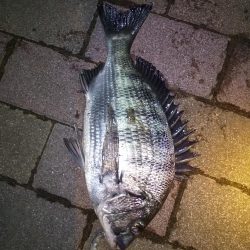 クリスマスだろうが関係なし