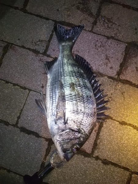 クリスマスだろうが関係なし