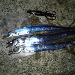 昇り竜で釣り納め