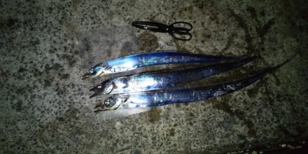 昇り竜で釣り納め