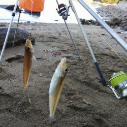 今年最後の釣・・その２