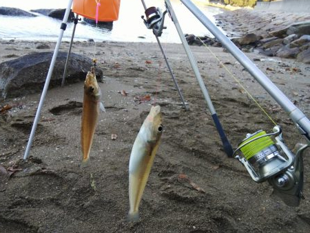 今年最後の釣・・その２