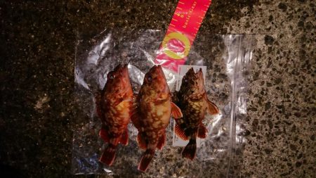 狙いはメガアジ、タッチー