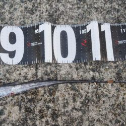 黙ってセットアッパー投げとけ！