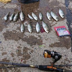 釣り納め（2回目）