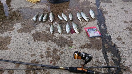 釣り納め（2回目）