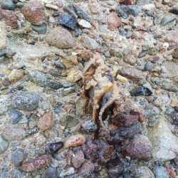 今日は当たり少ない⁉️