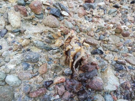 今日は当たり少ない⁉️