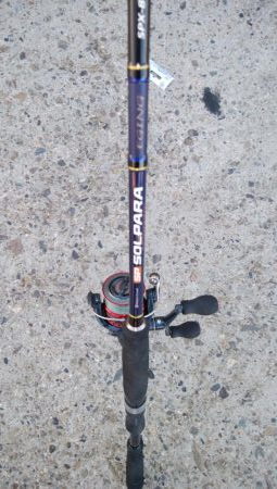 タチウオ終盤戦好調