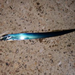 太刀魚釣り