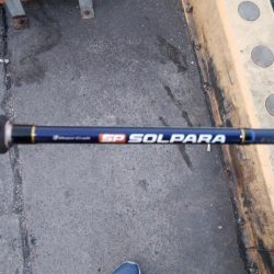 タチウオ数減ってきた