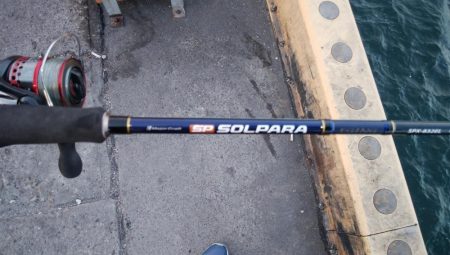 タチウオ数減ってきた