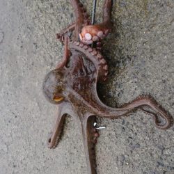 そろそろ終わりなのか