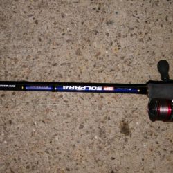 久々にタチウオ釣れた